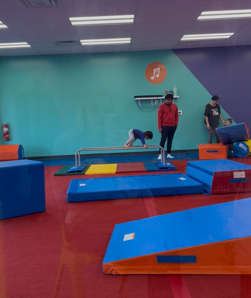  The Little Gym Palm Harbor