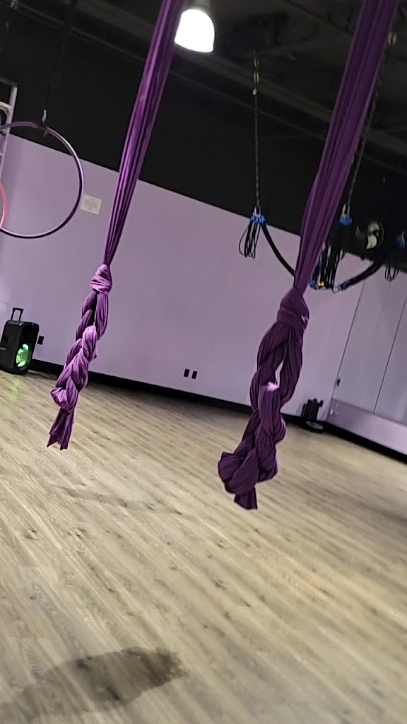  Pole Kisses, Bungee and Aerial Fitness