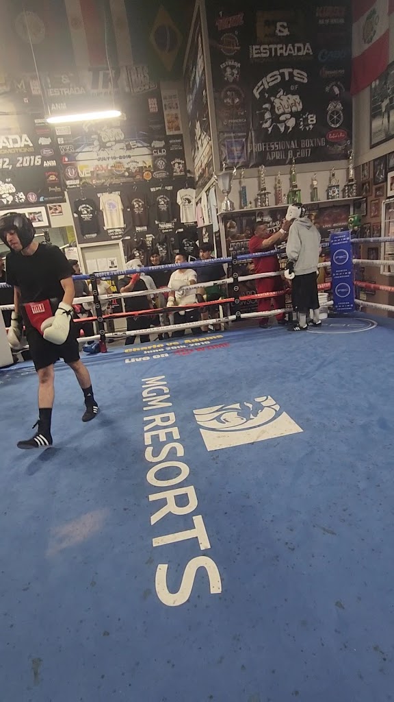  A V Boxing Club