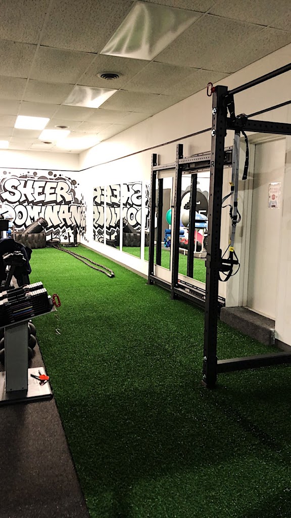  Sheer Dominance Strength & Performance