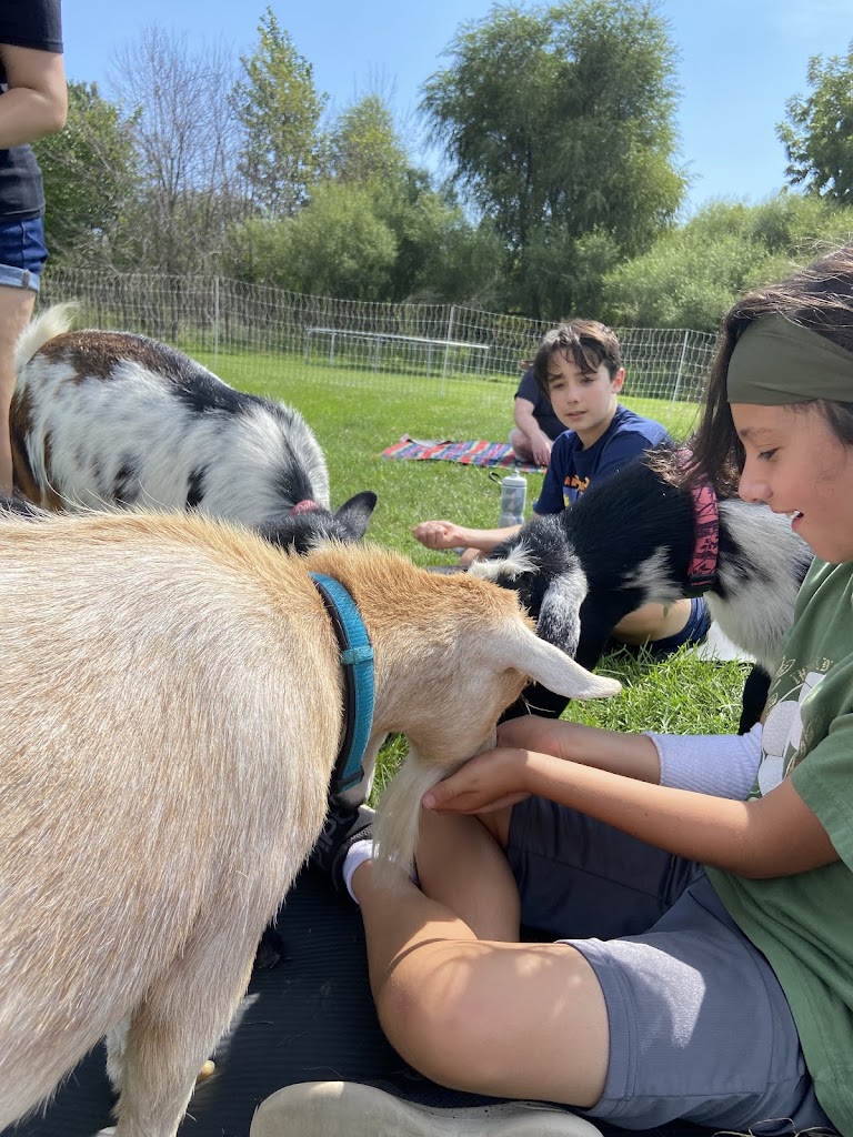  Goat Yoga Chicago - Elgin, Illinois