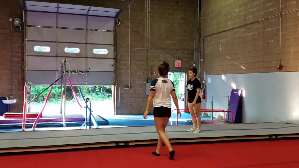  Flipper's Gymnastics