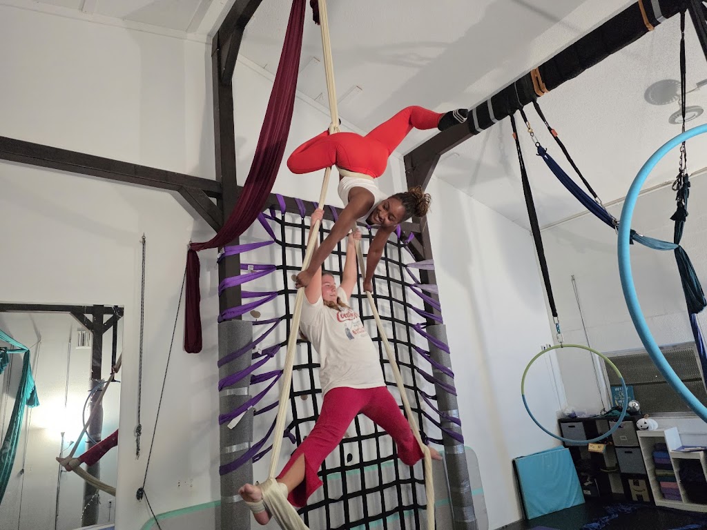  Star Academy of Dance & Aerial Arts