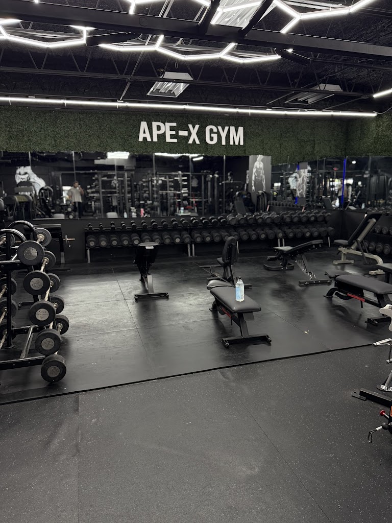 APE-X GYM