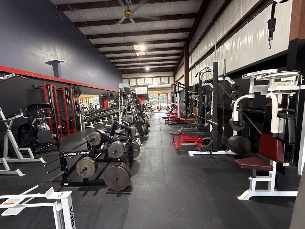  The FN Gym