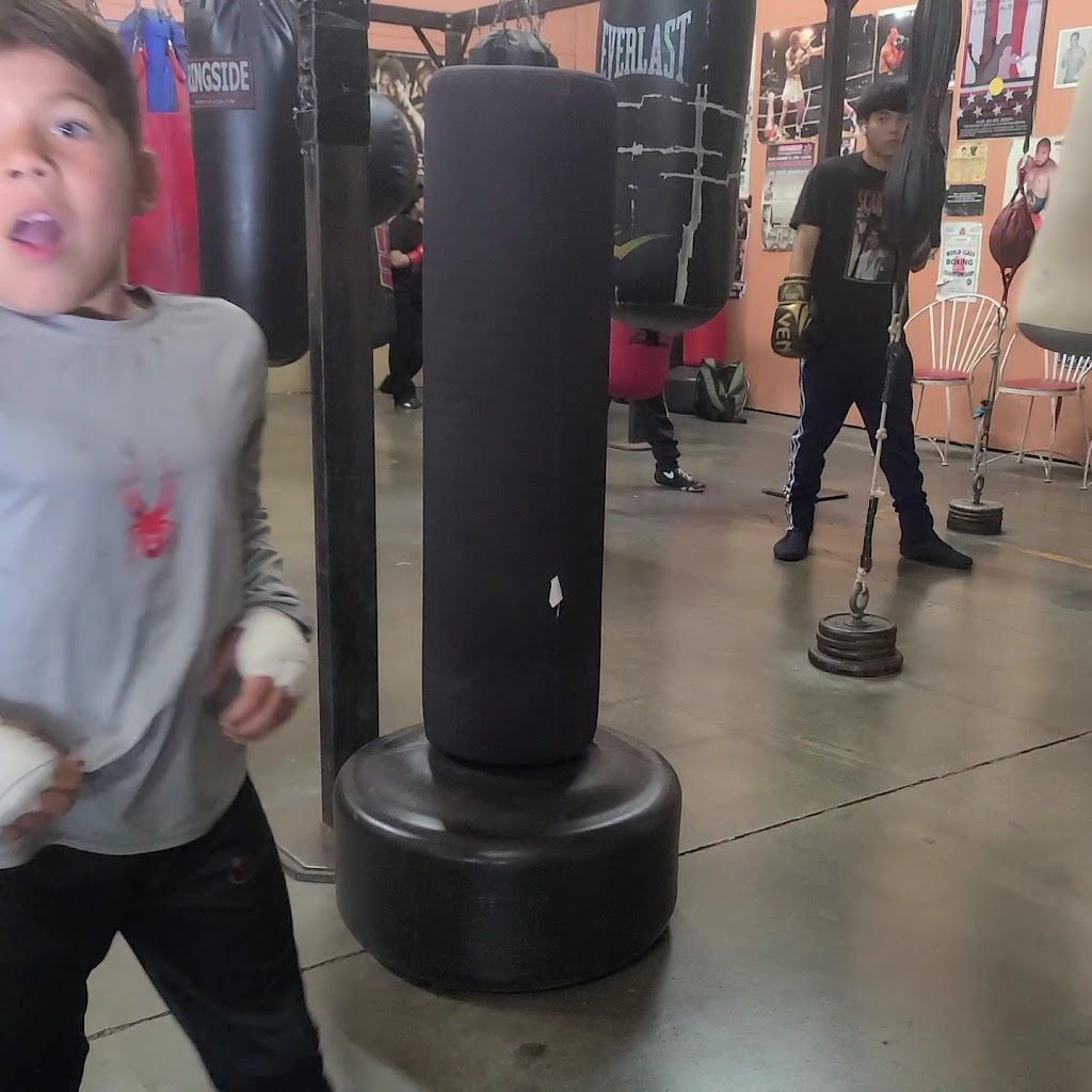  J L Tepito Boxing Club