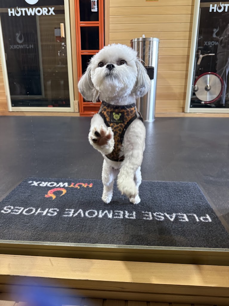  HOTWORX - Sycamore, IL - Dekalb Ave