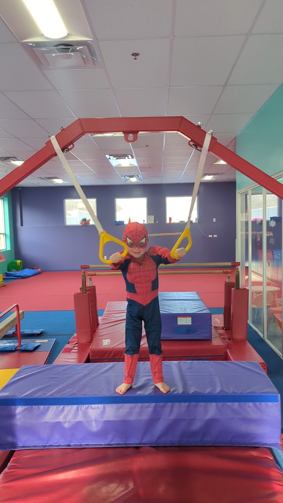  The Little Gym of Silver Spring