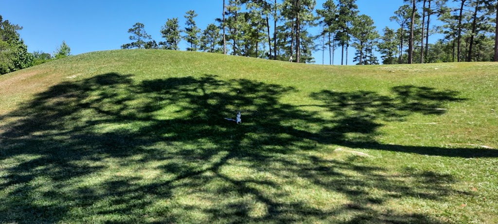  The Club at Pine Forest