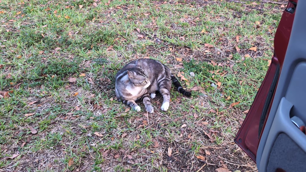  Planet Fitness Plaza