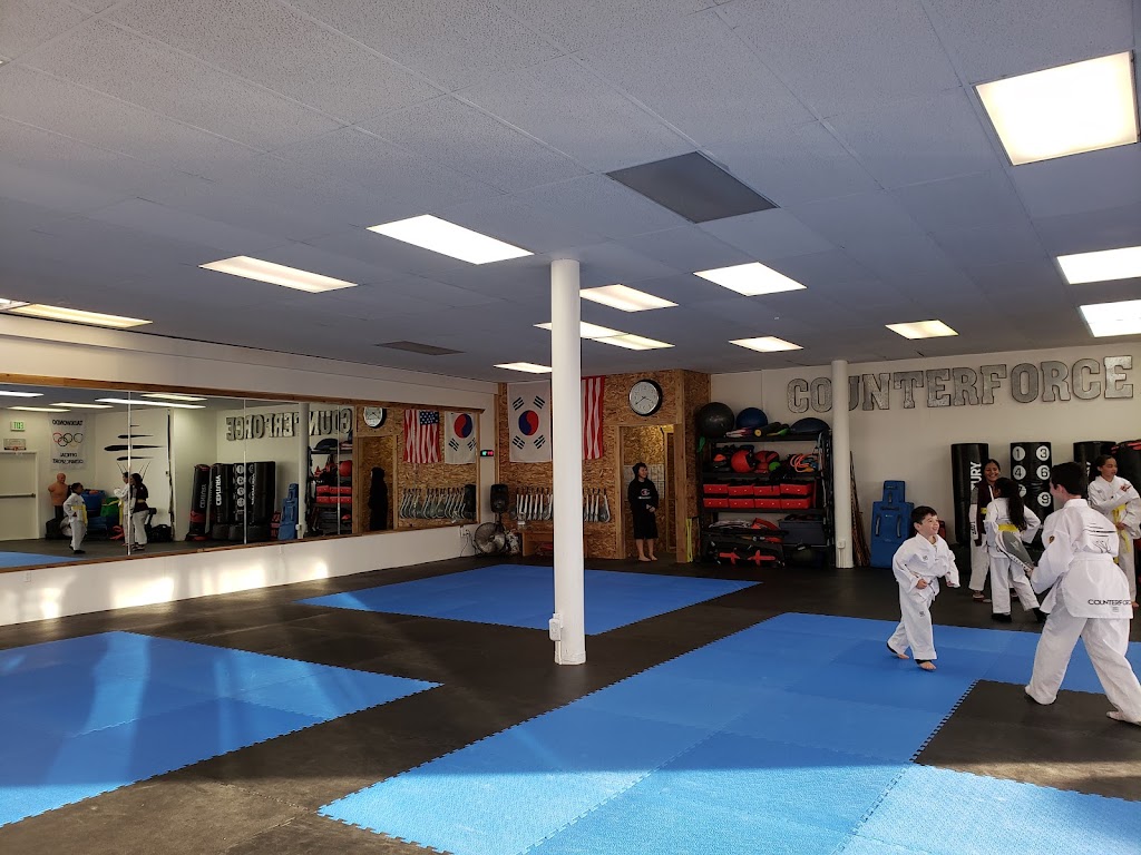  Counterforce Taekwondo Burien