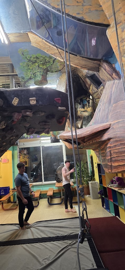  Albany's Indoor Rockgym