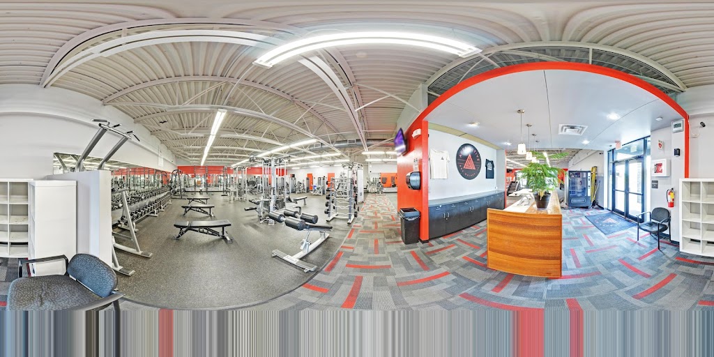  Apex Active on Fleur