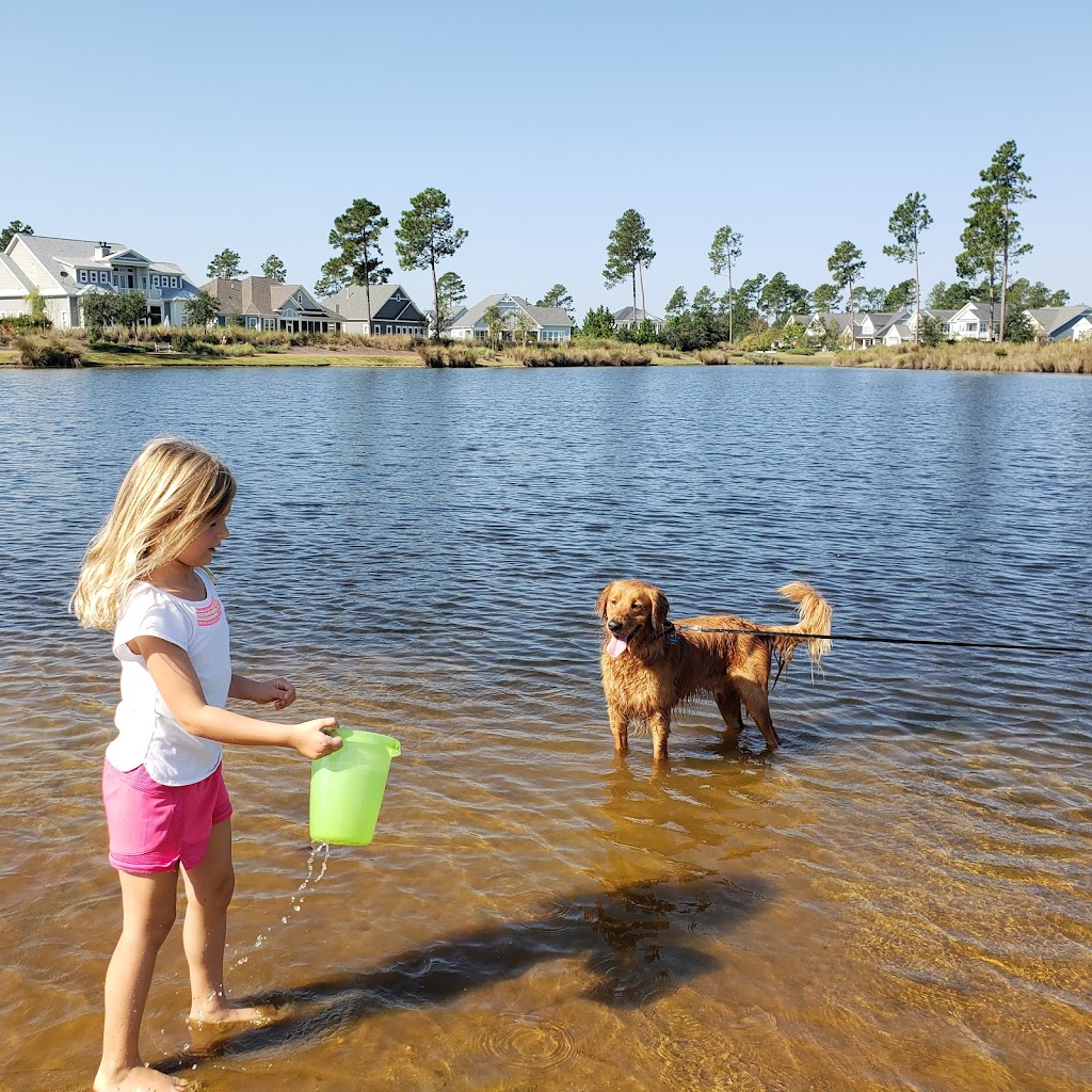  Brunswick Forest Hammock Meeting Center