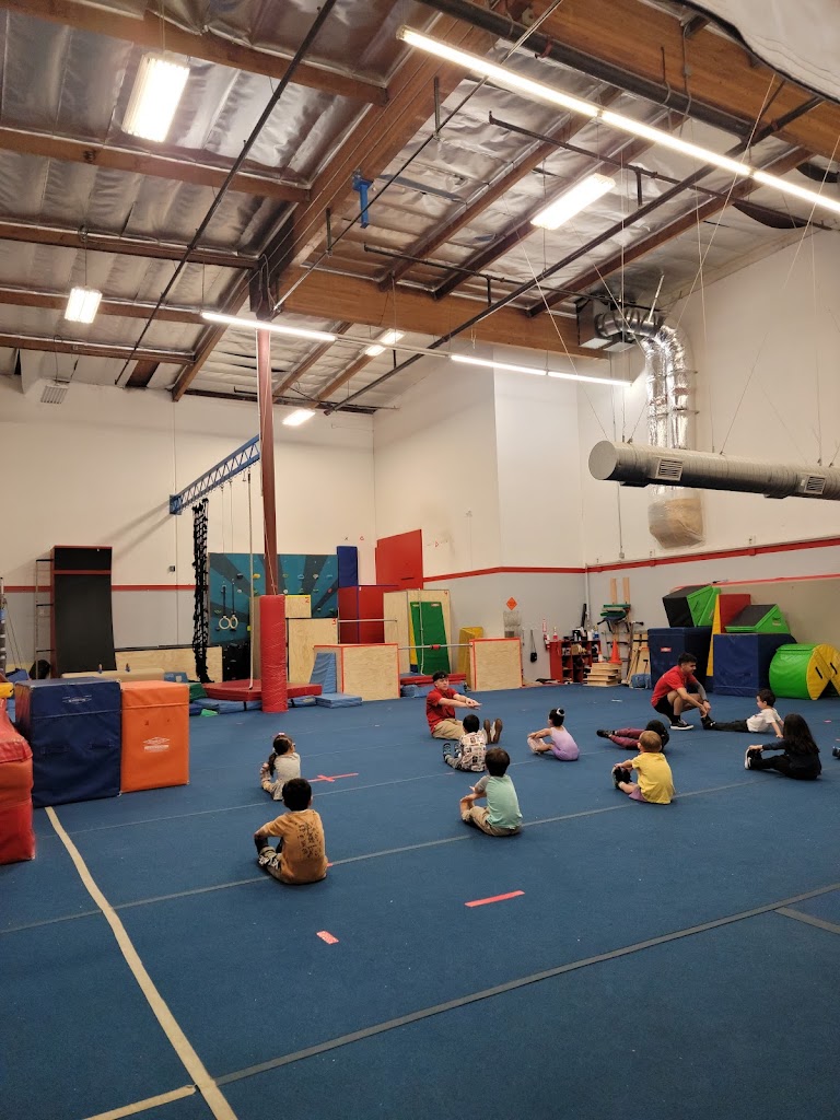  Precision Gymnastics