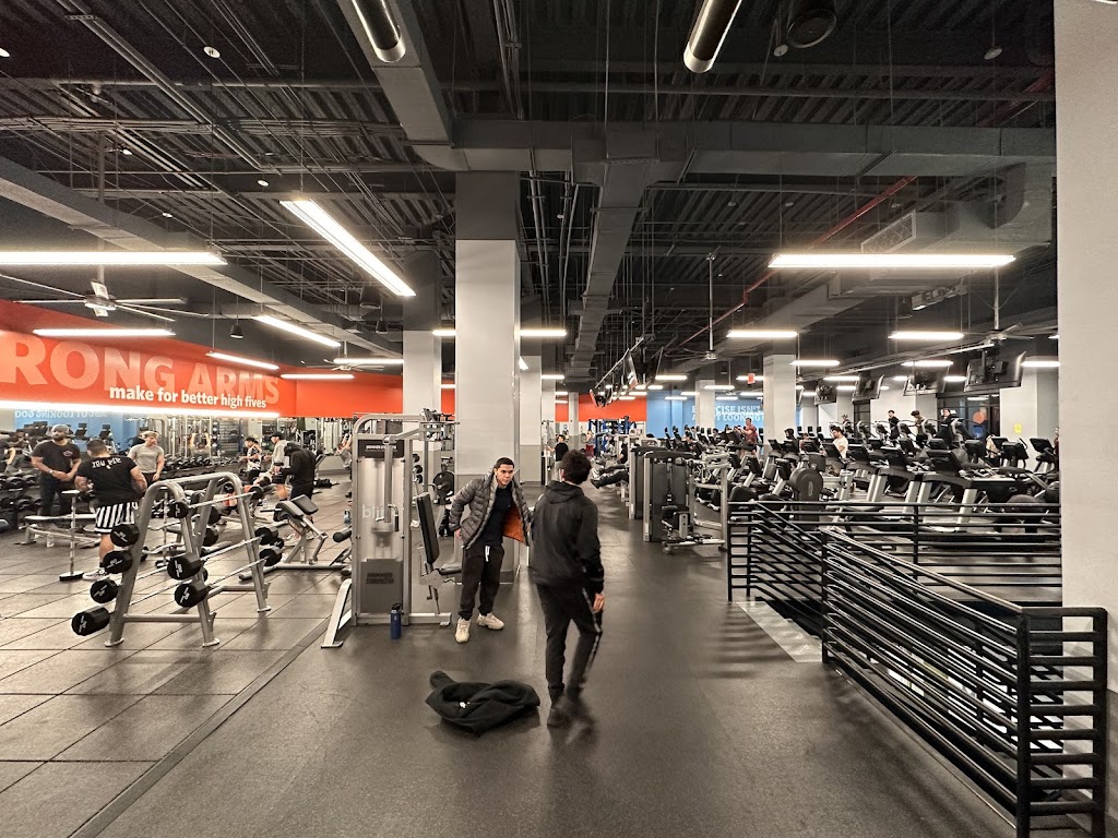  Blink Fitness (PureGym)