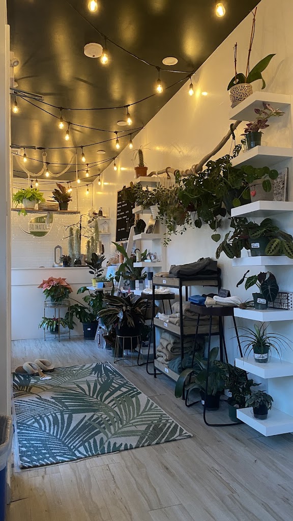  Solntse Hot Yoga and Barre