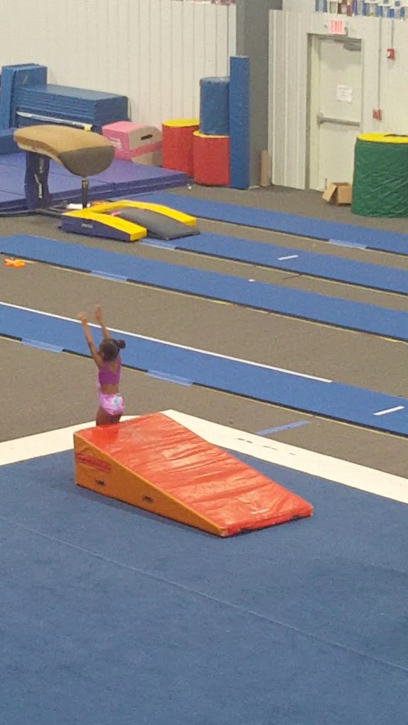  The Gymnastics Company (TGC)