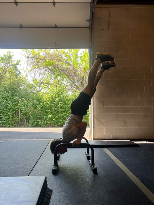  Calisthenics Training Center