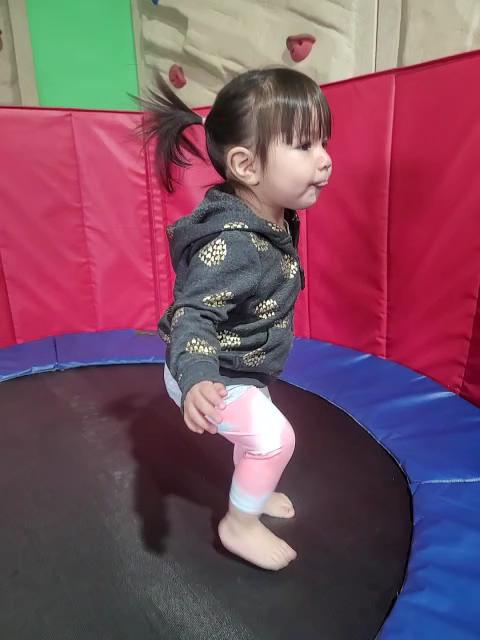  My Gym Atwater Village