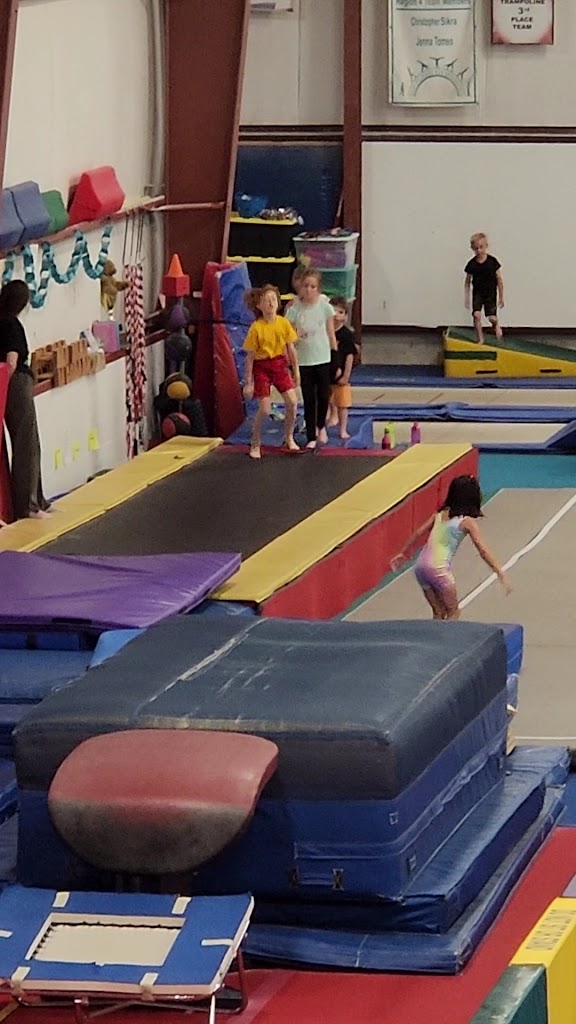  Top Flight Gymnastics