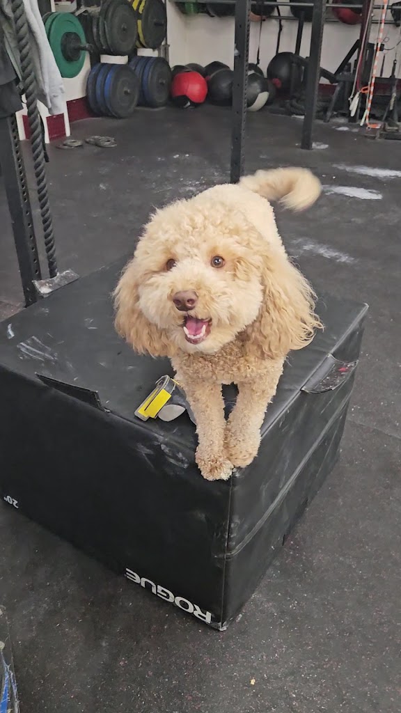  CrossFit Hell's Kitchen NYC