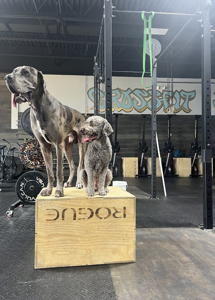  CrossFit Sea Dog
