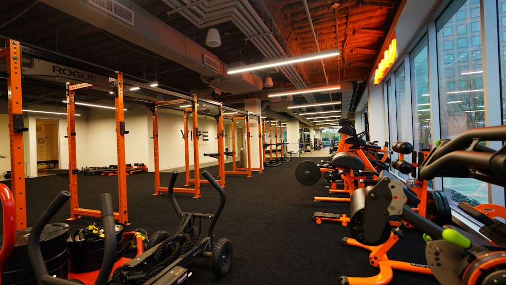  Vive Personal Training