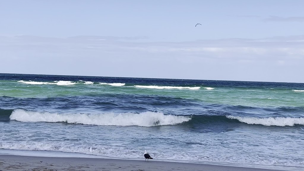  UNDISPUTED BOXING CHAMPIONSHIP