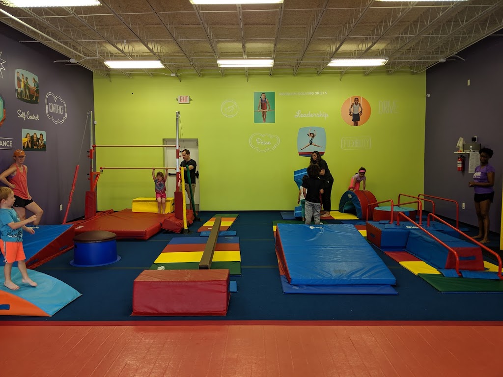  The Little Gym of Houston Heights