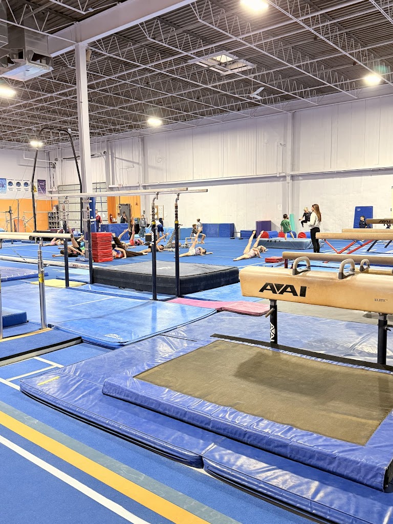  Professional Gymnastics Center
