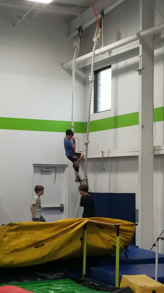  Conxion Olive Branch