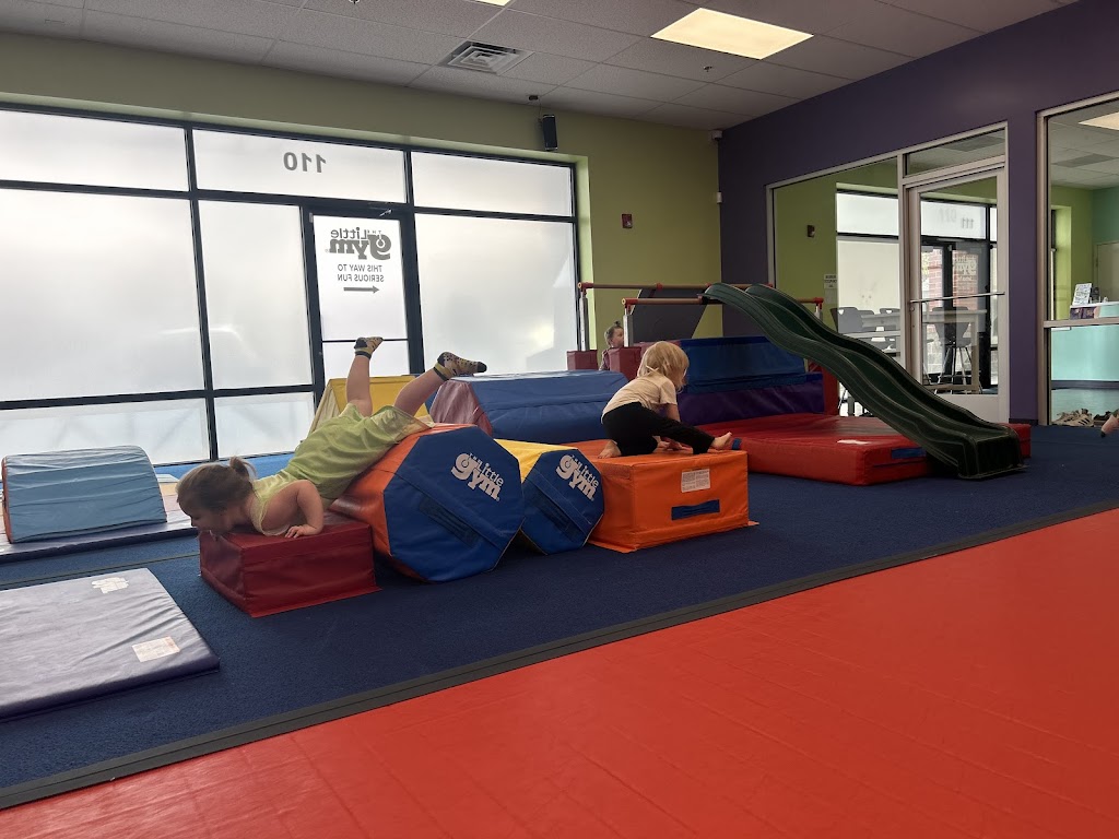  The Little Gym of Vancouver