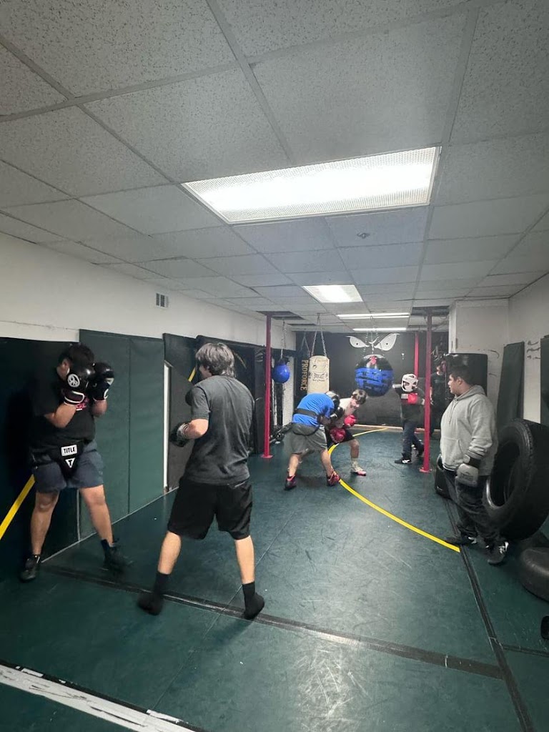  Monster Fit Striking