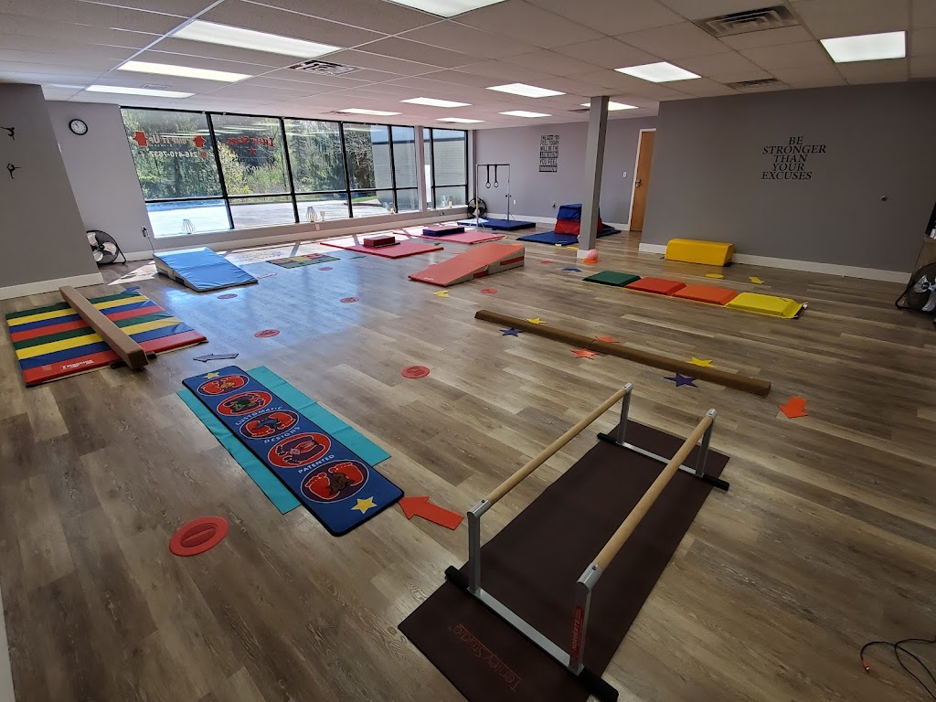  Little Stars Gymnastics