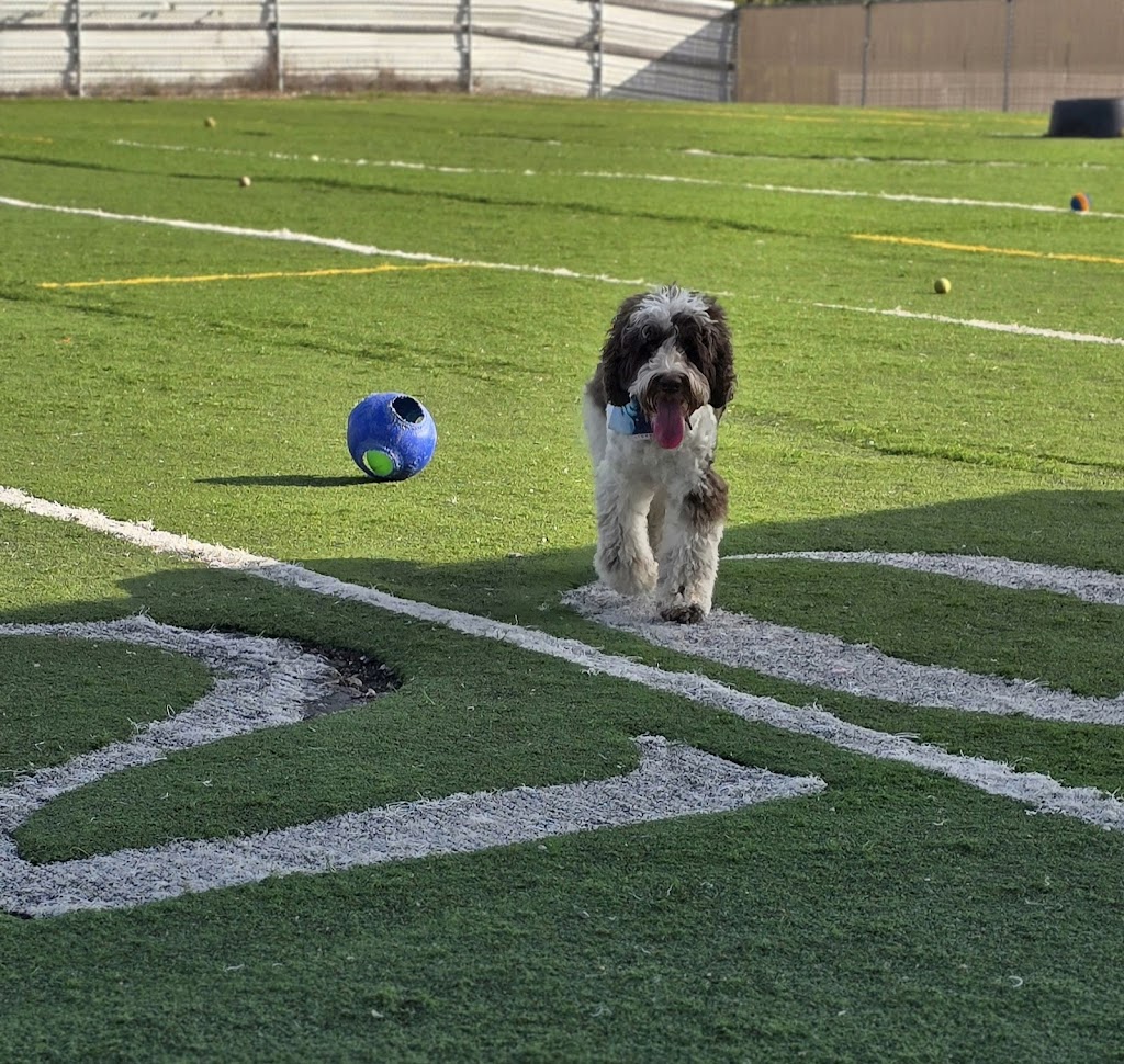  Aldo's Strength & Conditioning Gym