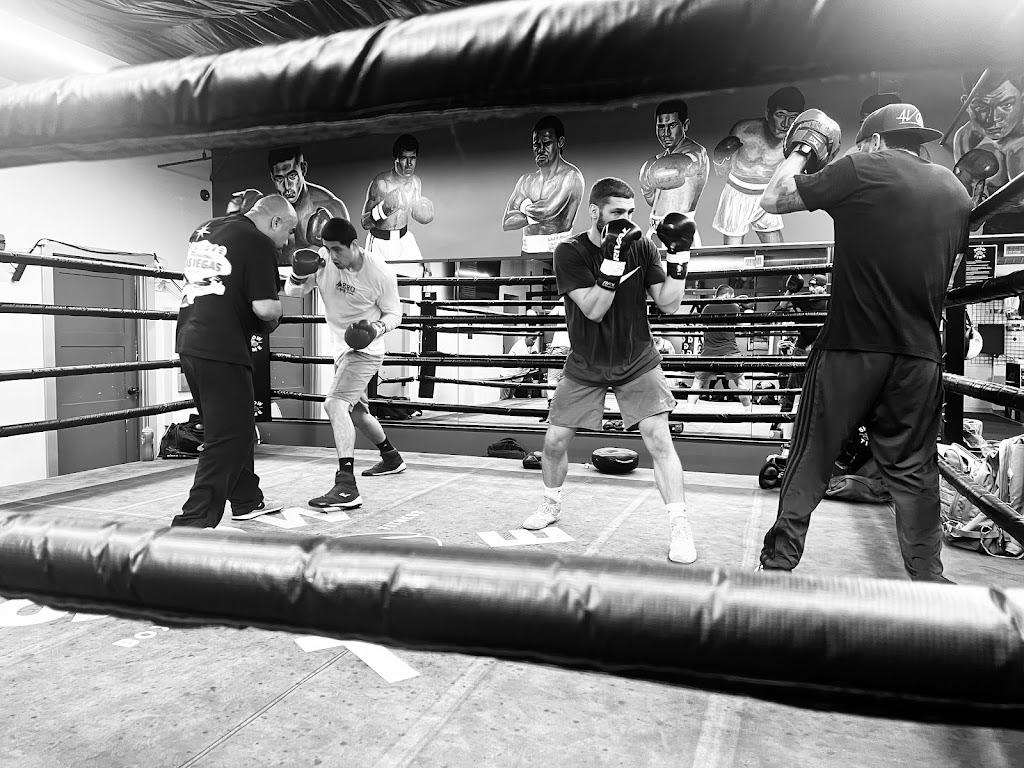  SHOWTIME BOXING FITNESS GYM