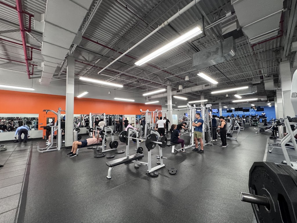  PureGym - Formerly Blink Fitness