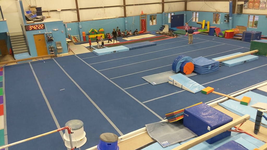  Premier Gymnastics and Cheer Academy