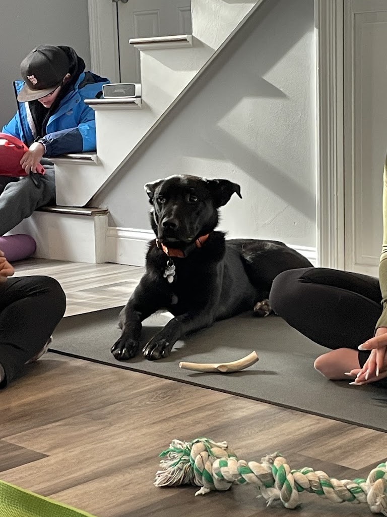  Water and Rock Studio