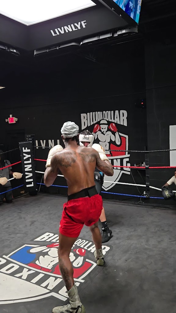  Billion Dollar Boxing