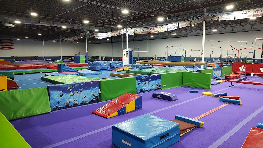  Virginia Techniques Gymnastics