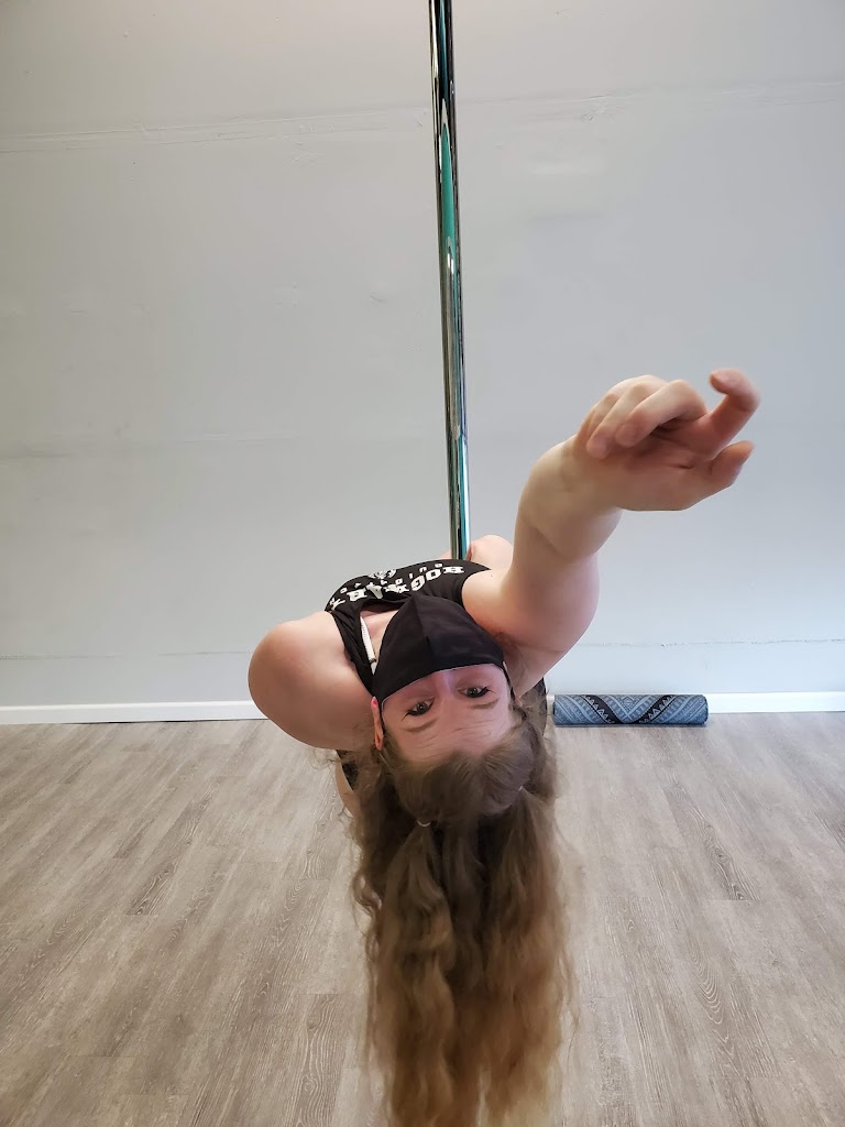  Vibe Aerial Arts & Dance