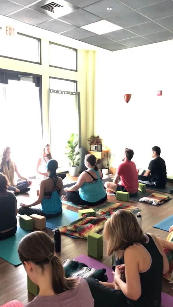  Easy Day Yoga & Meditation