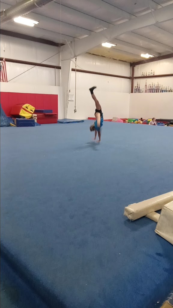  T K's Gymnastics