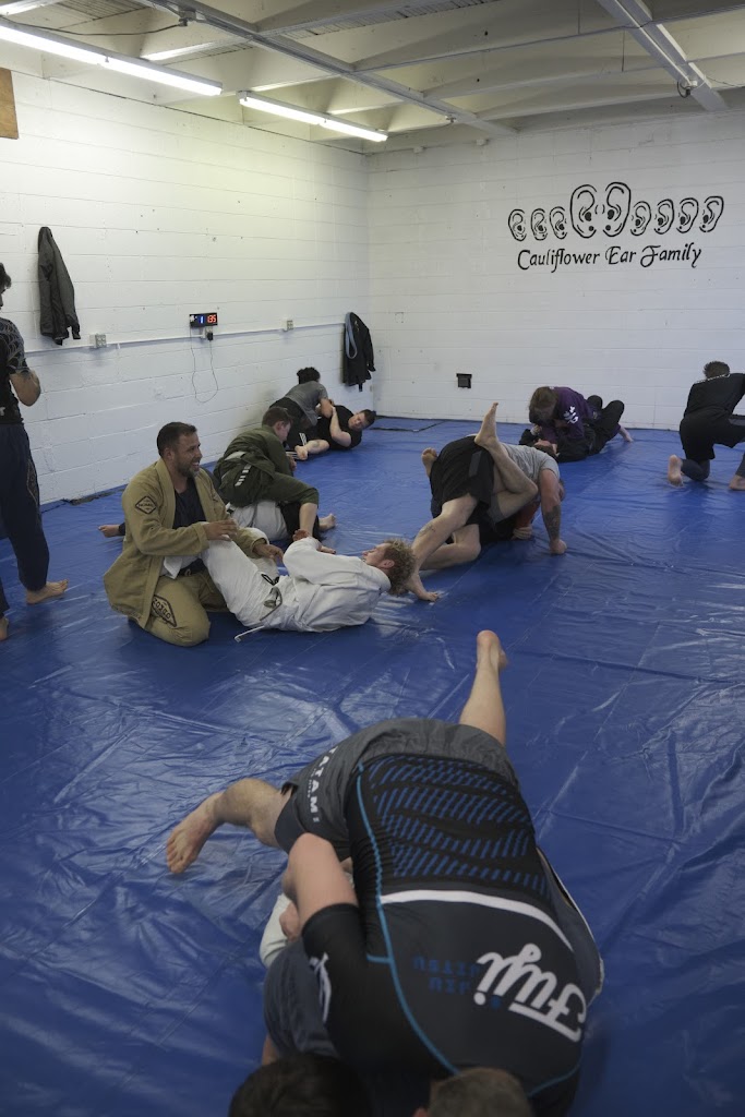  Cauliflower Ear Family