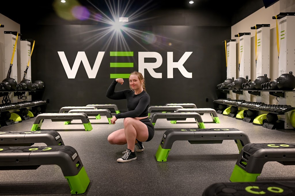  SPENGA South Fort Myers