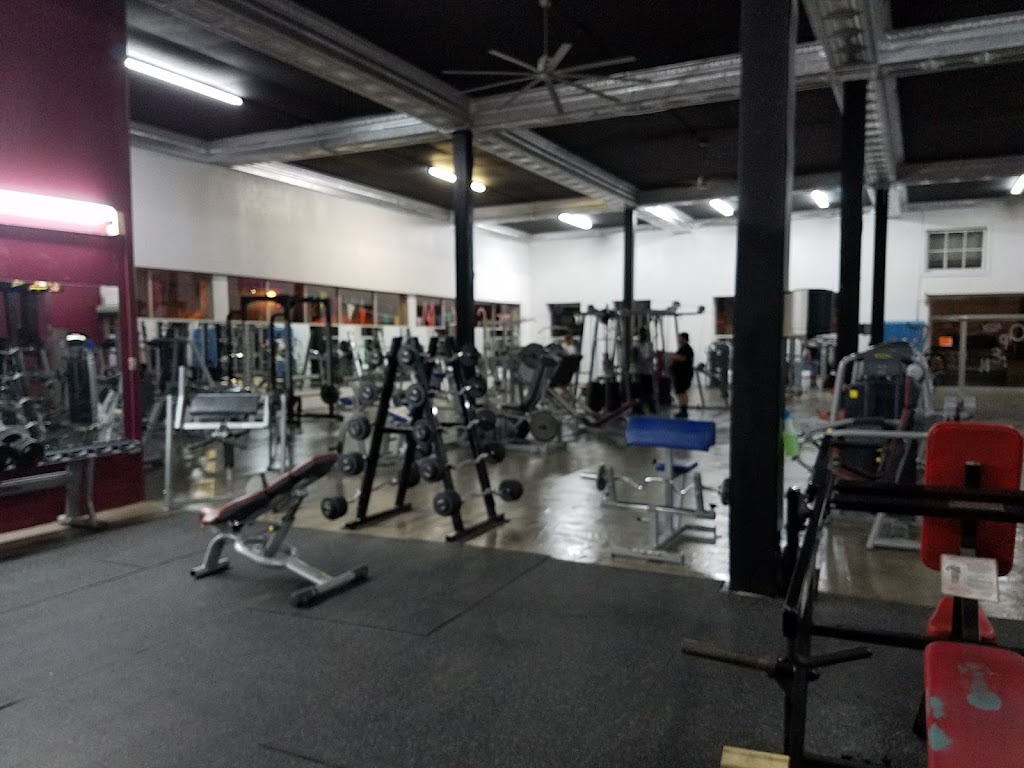  The Gym
