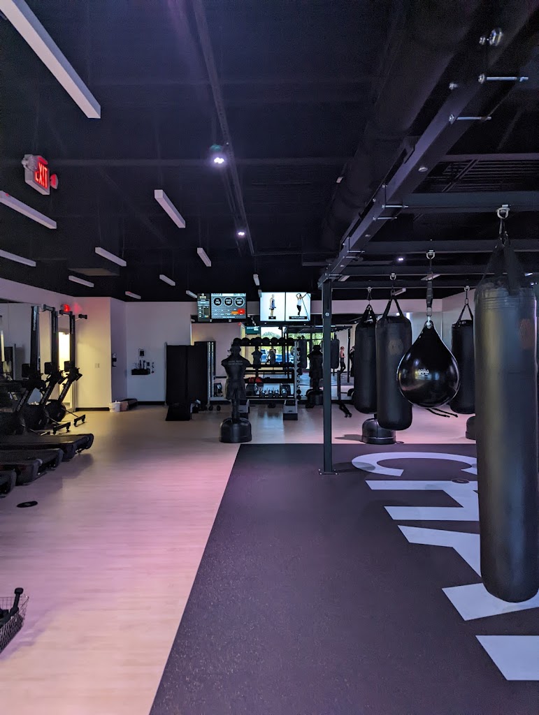  Mayweather Boxing + Fitness