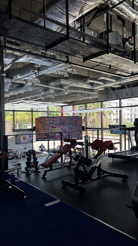  Allstar Gym and Fitness